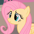 Fluttershy Fluttershy